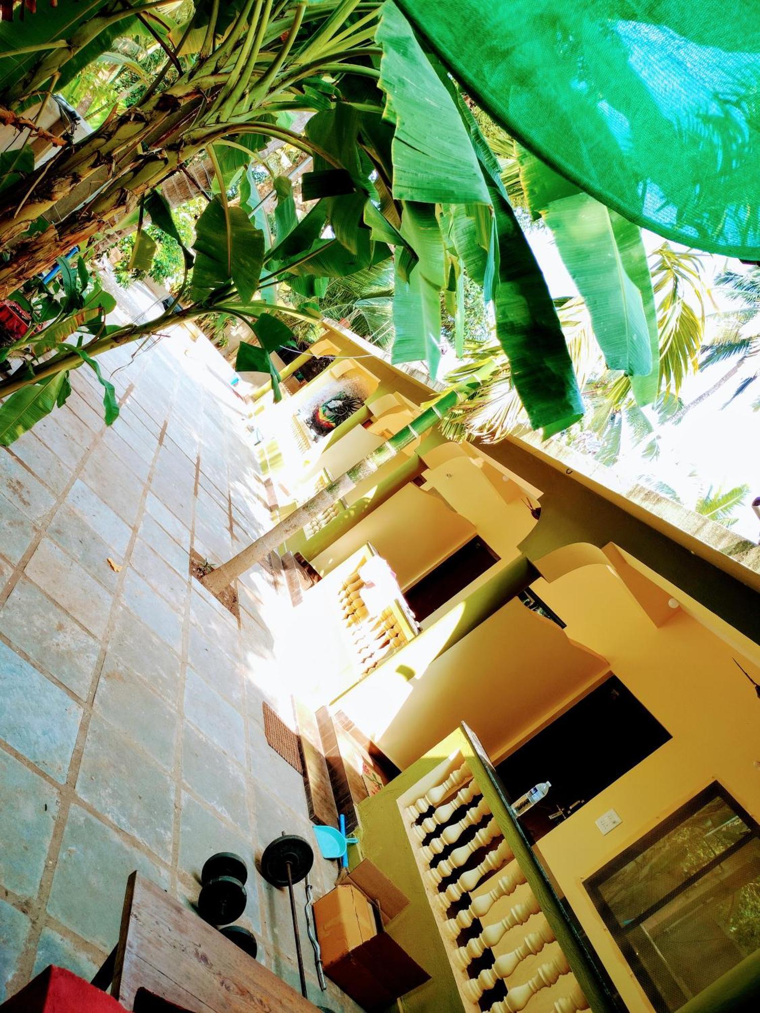One Love Guest House Morjim Buitenkant foto